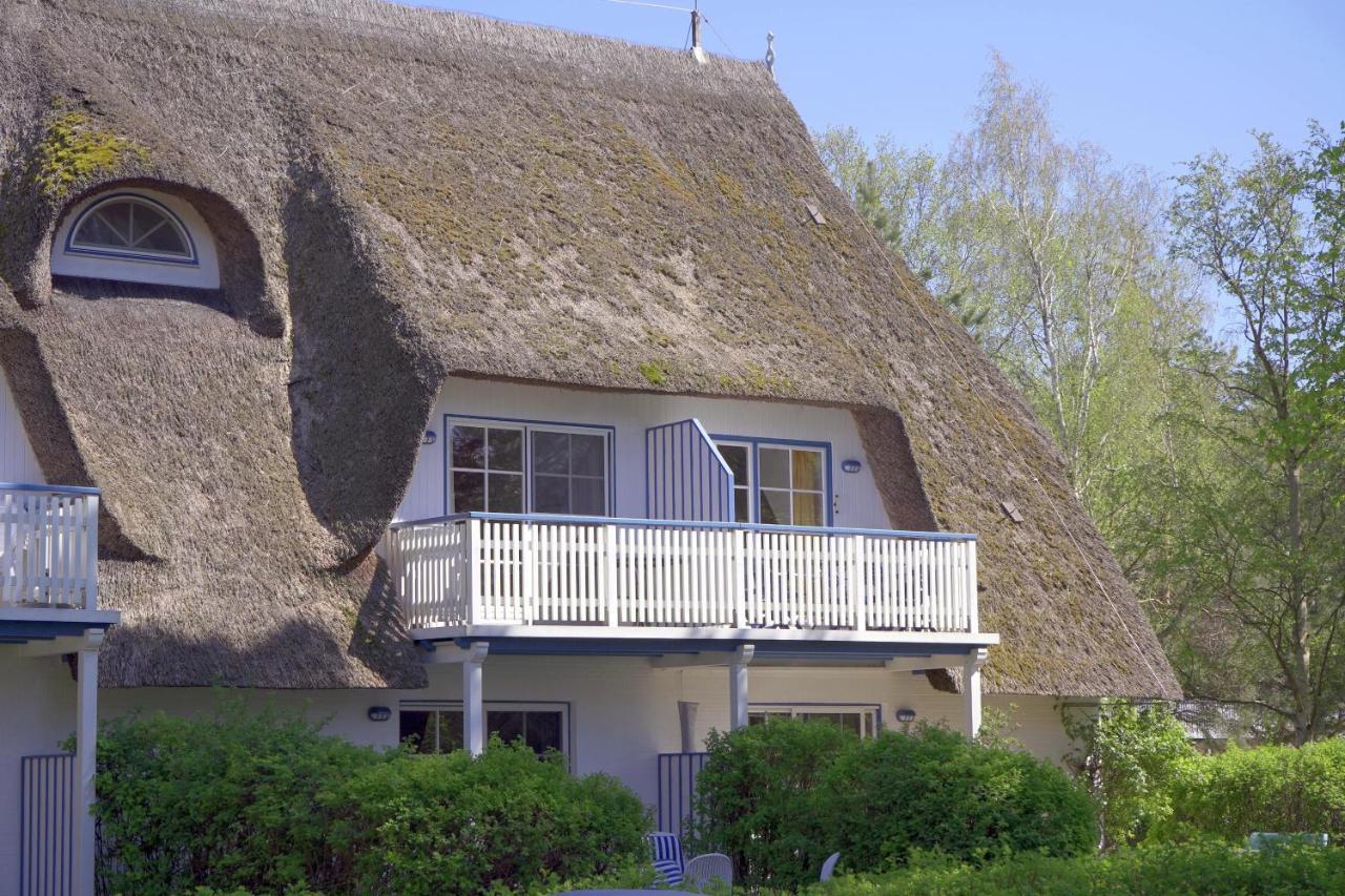 Achtern Diek 8A - Wohnung 5 Ostseeheilbad Ostseeheilbad Zingst Exterior foto